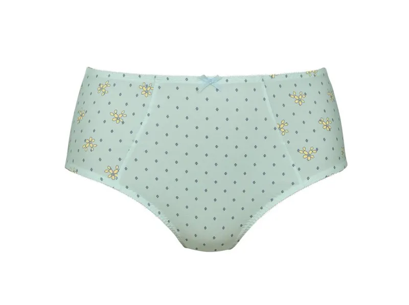 Anita Belvedere High Waist Brief in Princess Blue